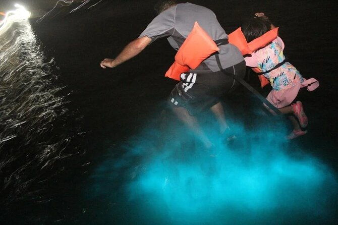 luminous-lagoon-night-tour-montego-bay