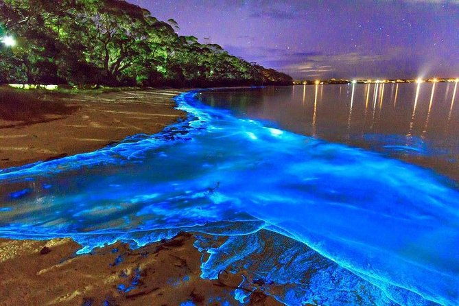 luminous-lagoon-small-group-tour-from-montego-bay