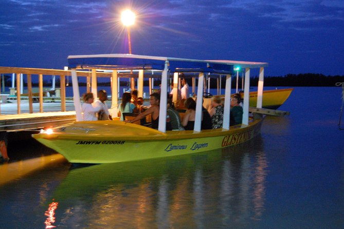 luminous-lagoon-small-group-tour-from-montego-bay