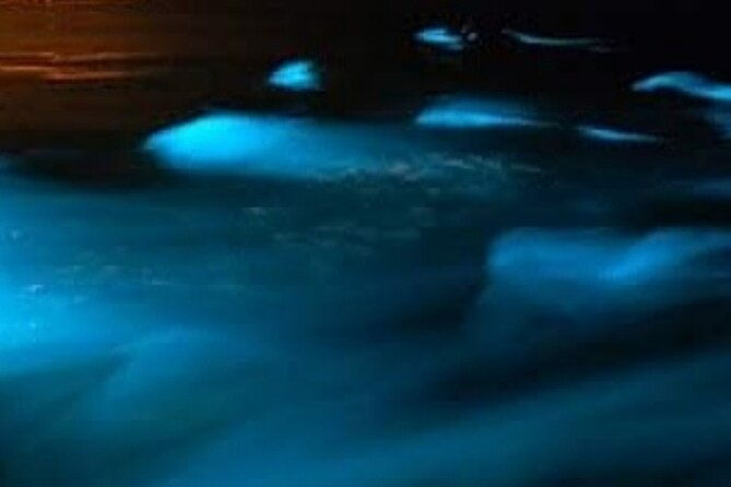luminous-lagoon-tour-from-montego-bay-private