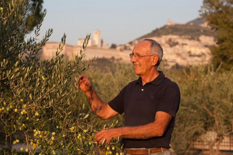 lunch-and-tasting-5-wines-walk-in-the-panoramic-vineyards