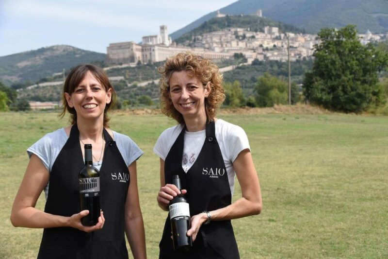 lunch-and-tasting-5-wines-walk-in-the-panoramic-vineyards