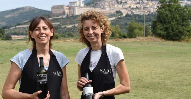 lunch-and-tasting-5-wines-walk-in-the-panoramic-vineyards