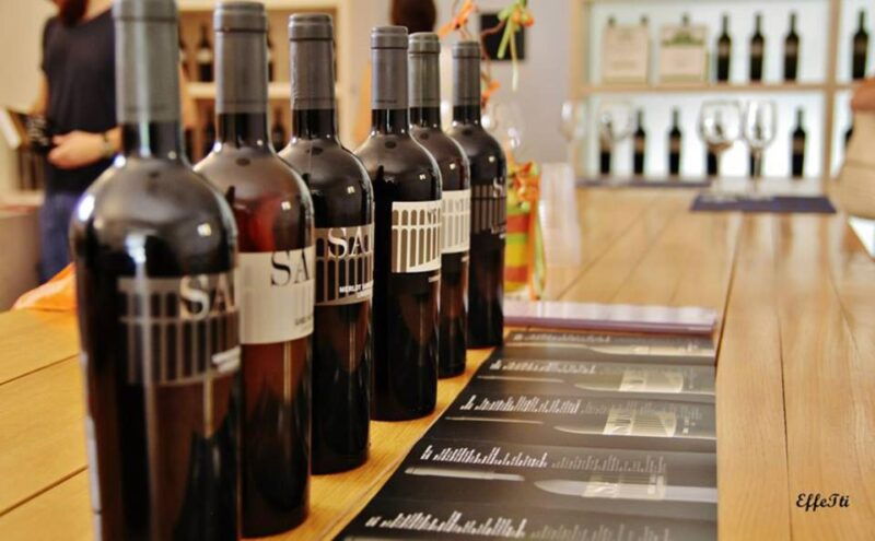lunch-and-tasting-5-wines-walk-in-the-panoramic-vineyards