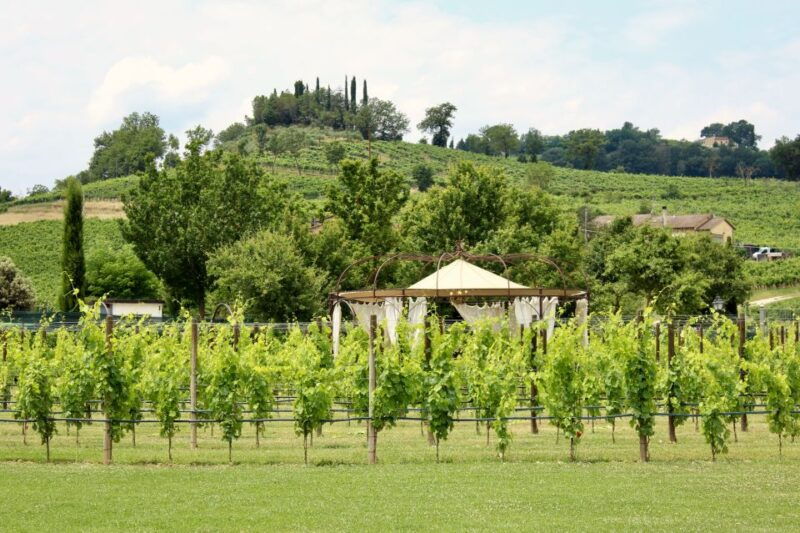 lunch-in-the-garden-and-wine-tasting