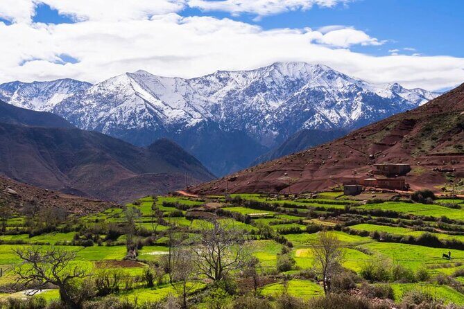 Lunch in the High Atlas: Ourika Valley Waterfalls & 3 Valleys - Practical Details and Tips