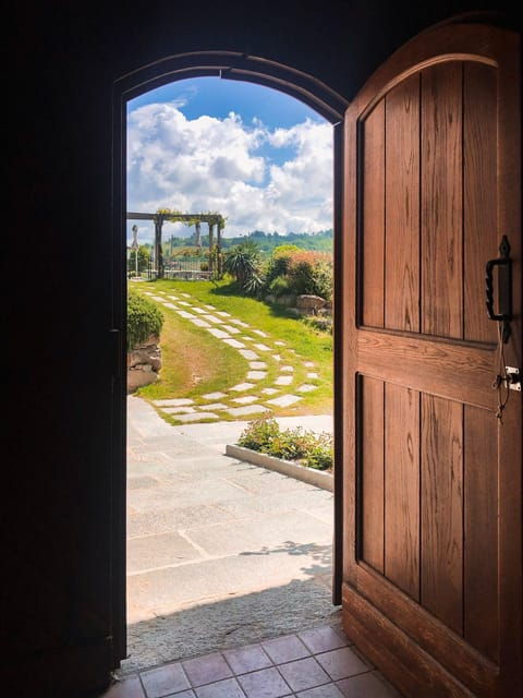lunch-in-the-langhe-with-winery-visit-and-wine-tasting