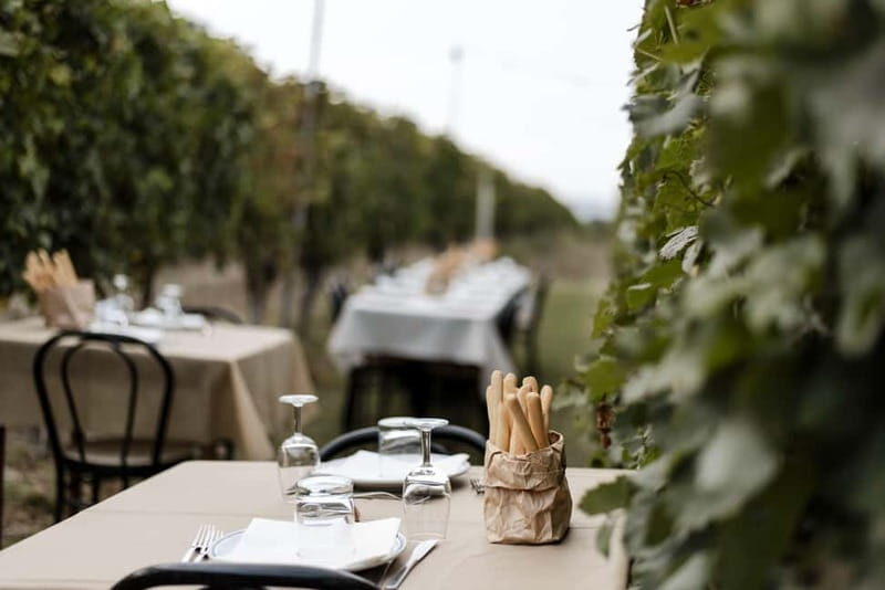 Lunch in the Vineyard in Alba - Experience the Best of Piedmont: Lunch in the Vineyard in Alba