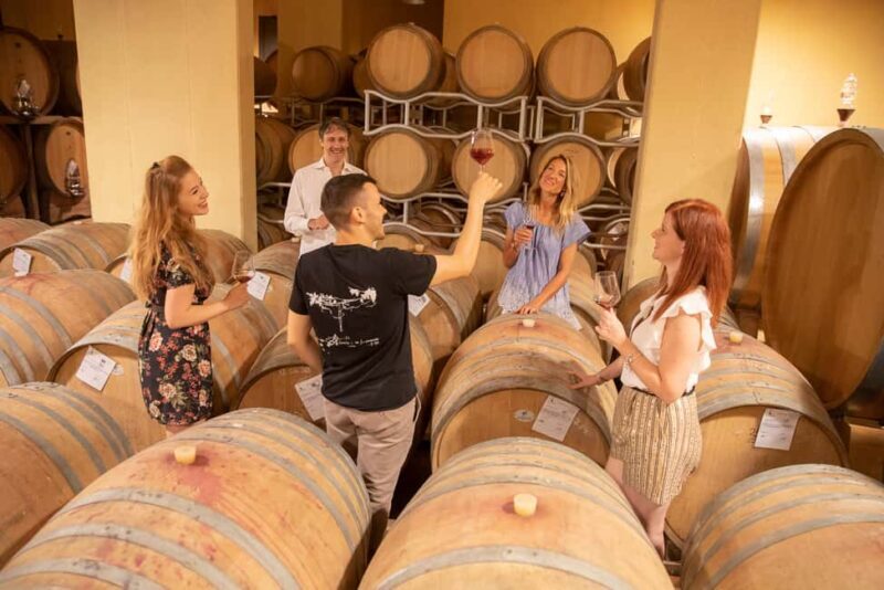 LUNCH IN VERONA: LIGHT LUNCH AMONG THE VINEYARDS AND IN THE WINERY - An In-Depth Look at the Tour Experience