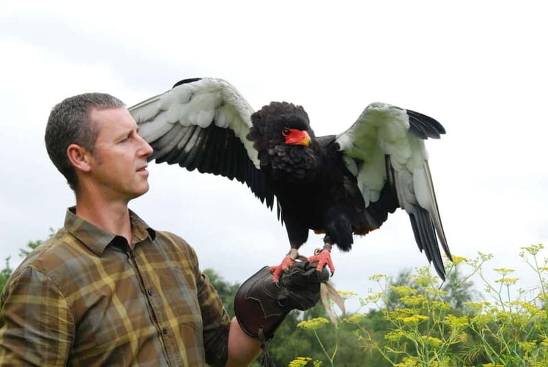 Lunch & Nature experience at Cumberland Bird of Prey Centre - Key Points