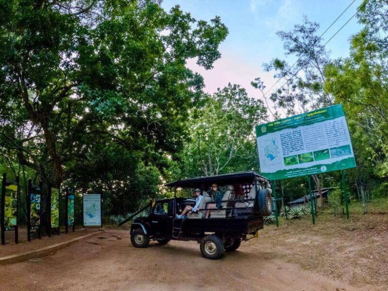 lunugamwehera-np-block-vi-morning-safari-game-drive