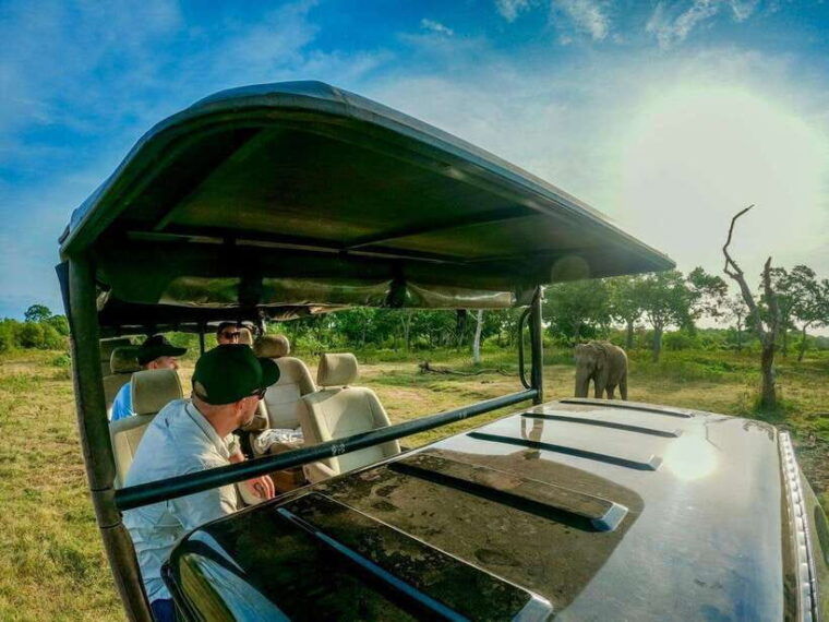 lunugamwehera-np-block-vi-morning-safari-game-drive