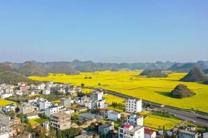 Luoping Jiulong Waterfalls Rapeseed Flowers and Duoyi River - Who Is This Tour Best For?