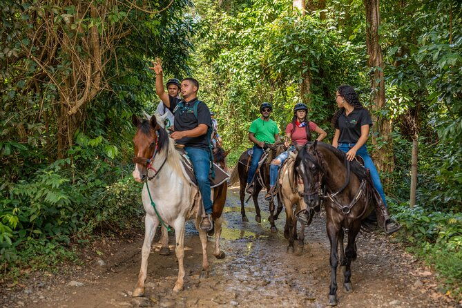 luquillo-beach-horse-ride-from-carabali-rainforest-adventure-park