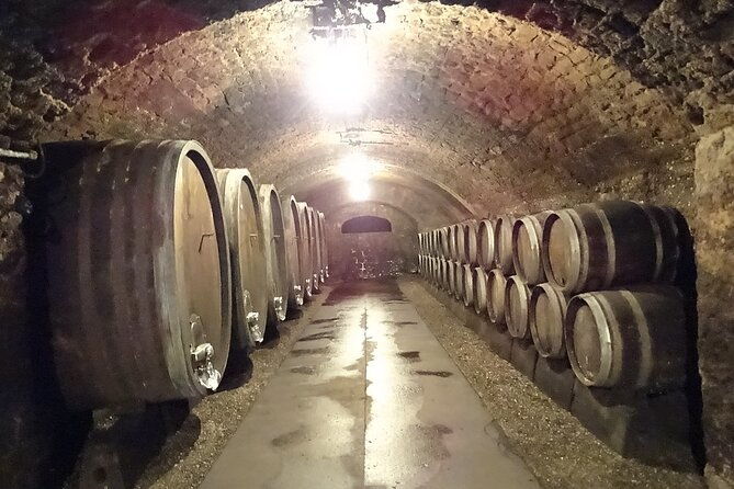 luxembourg-moselle-day-tour-with-wine-tasting