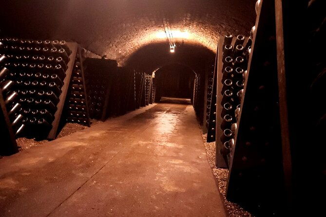 luxembourg-moselle-day-tour-with-wine-tasting