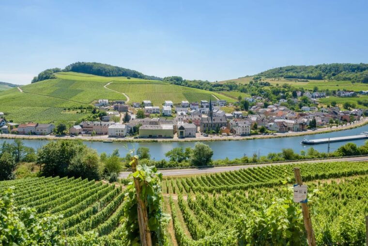 luxembourg-moselle-day-trip-with-wine-tasting-and-boat-tour