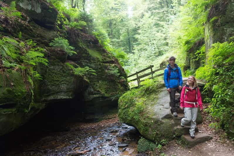 luxembourg-nature-history-and-castles-full-day-tour