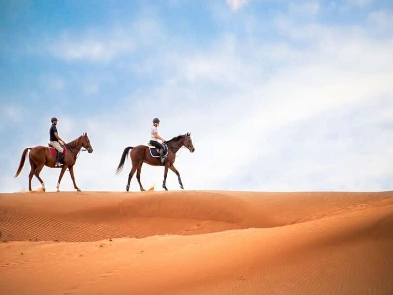 Luxor: Balloon, Quad Bike, Horse Ride, felucca with meals - The Sum Up