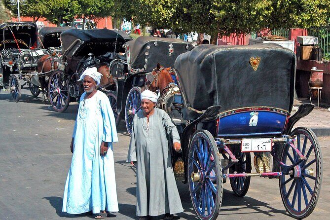 Luxor City Tour By Horse Carriage - Authenticity and reviewer insights