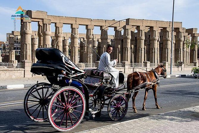 Luxor City Tour By Horse Carriage in Egypt - Exploring Luxor by Horse Carriage: What to Expect