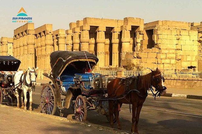 Luxor City Tour By Horse Carriage in Egypt - Who Will Love This Tour?