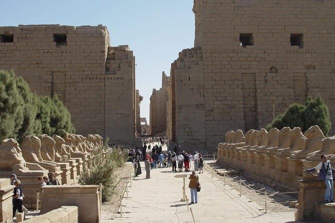 Luxor Day Tour by Sleeper Train - Key Points  