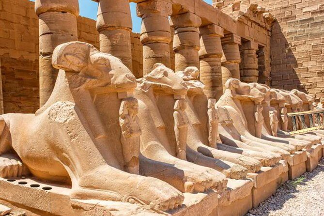 Luxor day tour from El Quseir - Why This Tour Stands Out