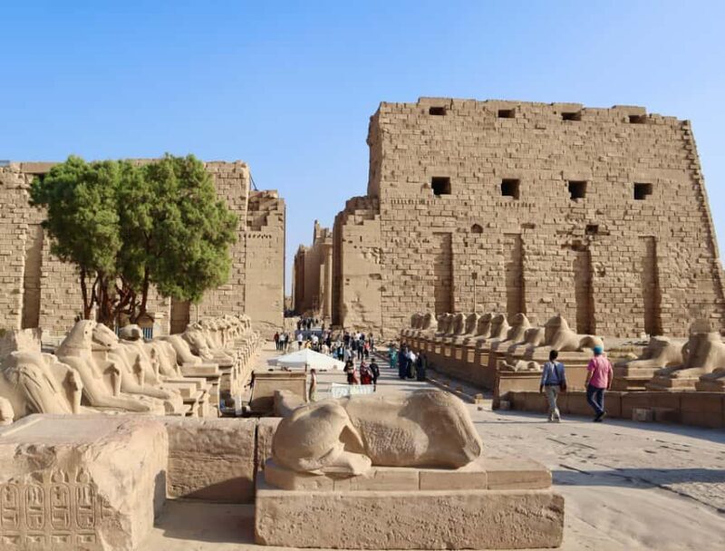 Luxor: East and/or West Banks Guided Tour with Lunch - Key Points