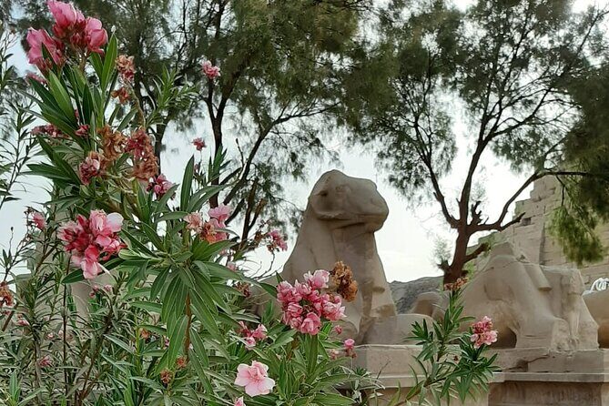 Luxor Full Day Tour - The Value of This Tour