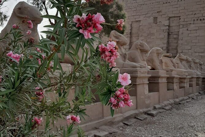 Luxor Full Day Tour - Who Will Love This Tour?