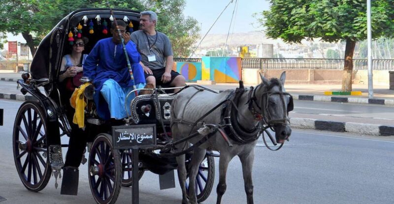 Luxor : Luxor City Tour By Horse Carriage Private Tour - Introduction to the Luxor Horse Carriage Tour