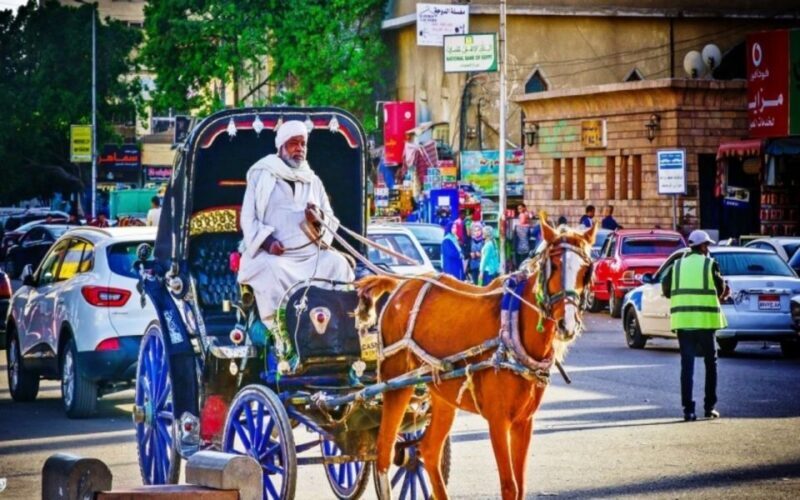 Luxor : Luxor City Tour By Horse Carriage Private Tour - Detailed Breakdown of the Experience