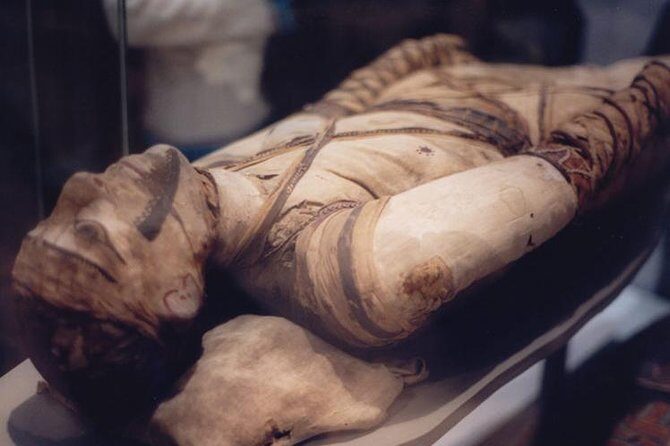 Luxor Museum & Mummification Museum - What to Expect at Each Stop