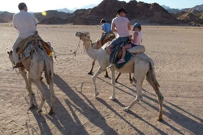 Luxor private City Tour With Camel Ride and Felucca - Transportation and Group Size