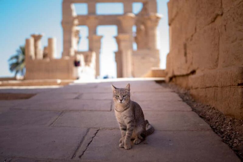 Luxor: Private Full-Day Customized Tour With Carriage Ride - FAQ