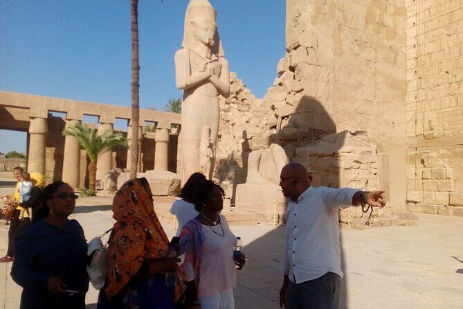 Luxor Private Full-Day Tour: Discover the East and West Banks of the Nile - Who Should Book This Tour?