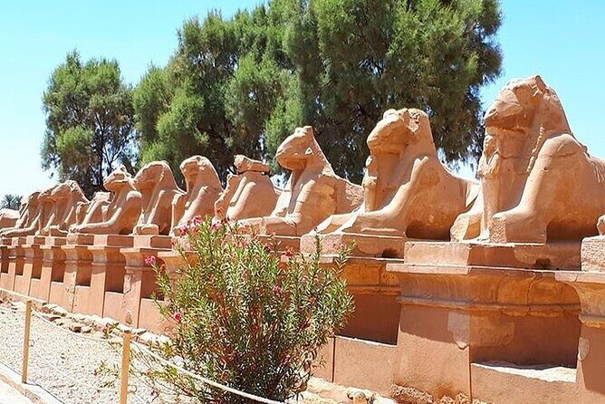 Luxor private full day tour east and west bank temples & tombs - Frequently Asked Questions