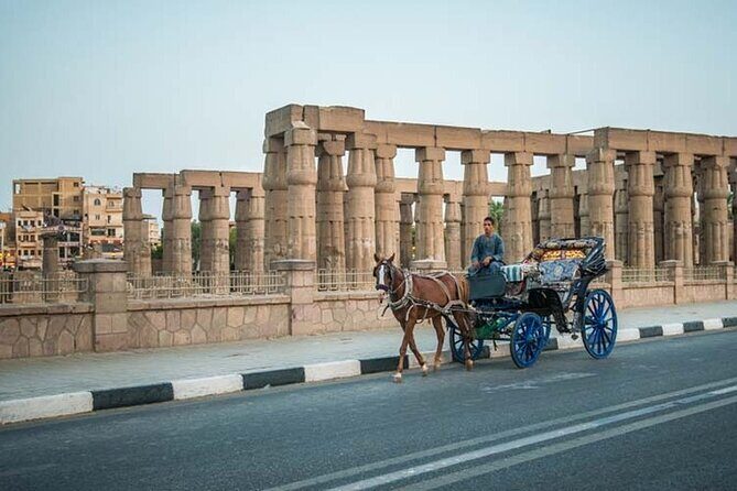 Luxor Private Half-Day Tour: Karnak Temple & Luxor Temples - Who is This Tour Best For?