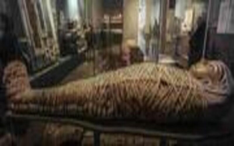 Luxor Private Tour: Luxor Museum & Mummification Museum. - Who Should Consider This Tour?