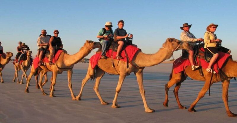 Luxor: Scenic Camel or Horse Ride - Luxor: Scenic Camel or Horse Ride — A Calm Escape into Nature