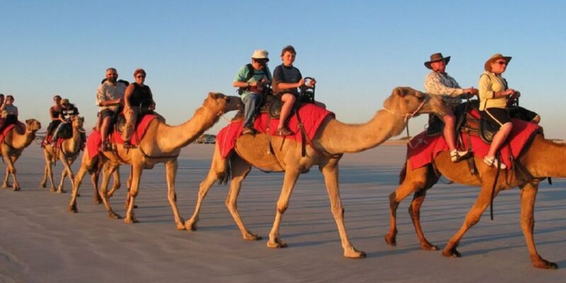 Luxor: Scenic Camel or Horse Ride - Authentic Insights from Past Travelers