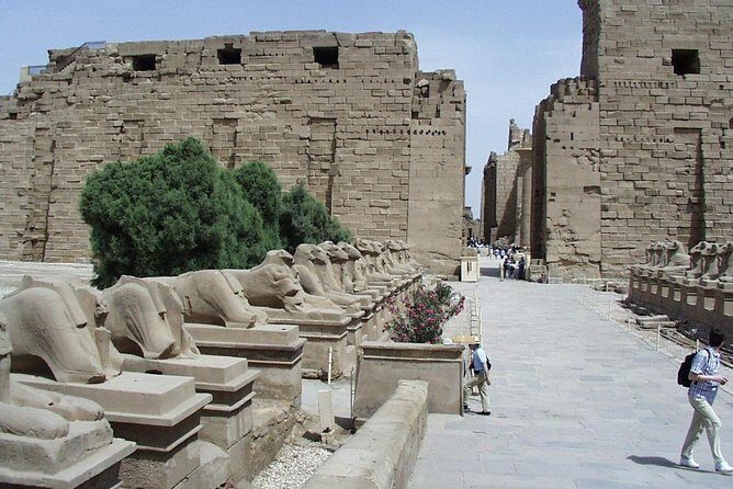 Luxor Trip Valley of Kings Hatshepsut & Karnak Temples - Hurghada - How the Tour Works: A Day in Luxor from Hurghada