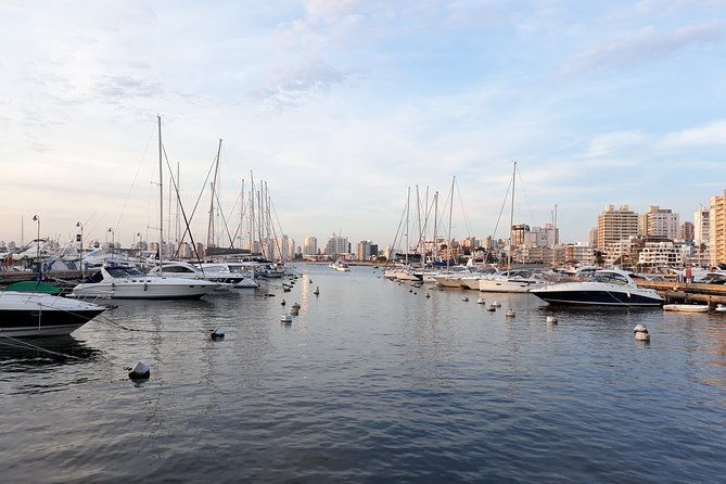 luxuriate-in-a-private-day-experience-to-punta-del-este