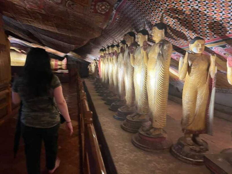 luxurious-all-inclusive-sigiriya-dambulla-day-tour