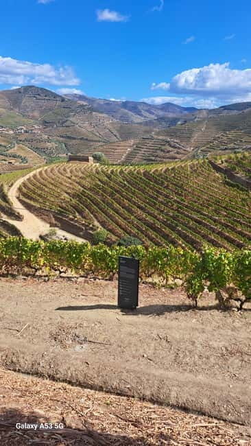 Luxurious Daytrip Lisbon to Douro Valley with Optional Stops - Who Will Love This Tour?