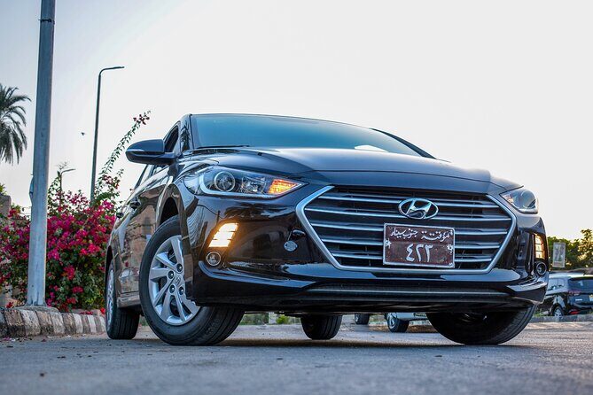 Luxurious Private Transfer:Hurghada to Luxor-Comfort &Convenience - Who Will Love This Service?