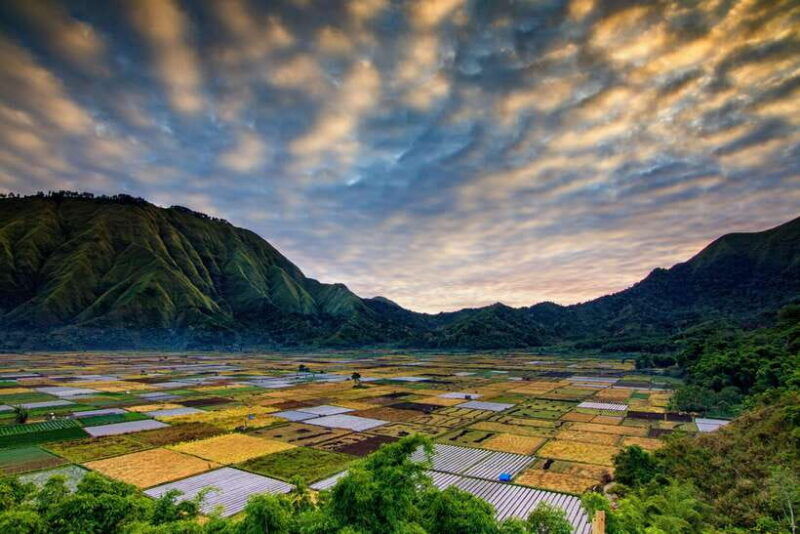 luxurious-sendang-gila-tiukelep-waterfall-selong-hill-tour