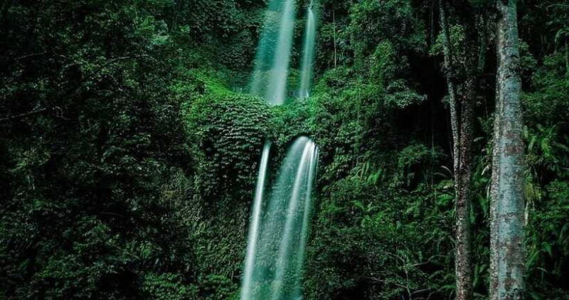luxurious-sendang-gila-tiukelep-waterfall-selong-hill-tour