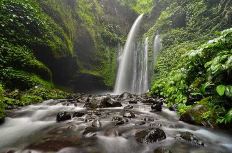 luxurious-sendang-gila-tiukelep-waterfall-selong-hill-tour